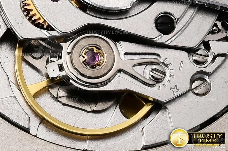 1110 Bold R2DJ0257D – DJ2 41mm Oys 665